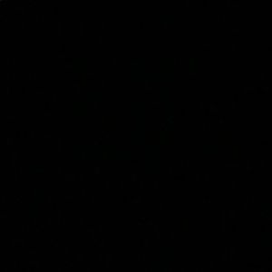 Meet your Posher, Maci